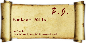Pantzer Júlia névjegykártya